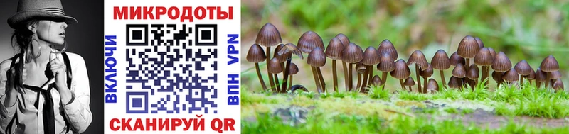 купить наркоту  blacksprut   Псилоцибиновые грибы Magic Shrooms  Цивильск 